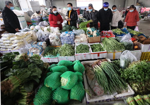 陕西大荔 春节市场货源充足价格保持平稳